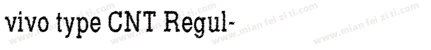 vivo type CNT Regul字体转换